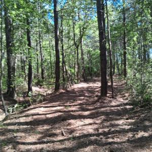 Photo #12 of 50 ac BELINDA RD, SANFORD, VA 50.0 acres