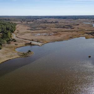 Photo #8 of 50 ac BELINDA RD, SANFORD, VA 50.0 acres