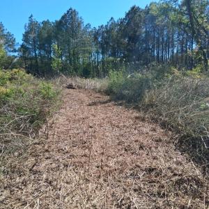 Photo #9 of 50 ac BELINDA RD, SANFORD, VA 50.0 acres