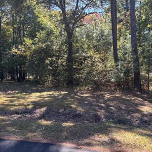 Photo #3 of Lot 7 FAIRWAY DR, MELFA, VA 0.9 acres