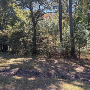 Photo #4 of Lot 7 FAIRWAY DR, MELFA, VA 0.9 acres