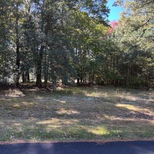 Photo #6 of Lot 7 FAIRWAY DR, MELFA, VA 0.9 acres