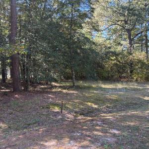Photo #7 of Lot 7 FAIRWAY DR, MELFA, VA 0.9 acres