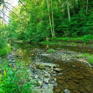 Photo #4 of TBD LITTLE CALF PASTURE HWY, SWOOPE, VA 9.1 acres