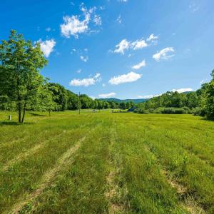 Photo #8 of TBD LITTLE CALF PASTURE HWY, SWOOPE, VA 9.1 acres