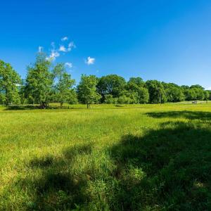 Photo #10 of TBD LITTLE CALF PASTURE HWY, SWOOPE, VA 9.1 acres