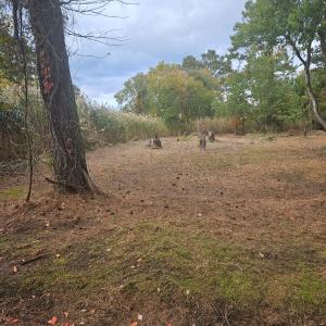 Photo #4 of LOT 283 NORTH HIBISCUS DR, CHINCOTEAGUE, VA 12.0 acres