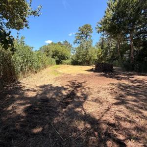 Photo #3 of LOT 283 NORTH HIBISCUS DR, CHINCOTEAGUE, VA 12.0 acres
