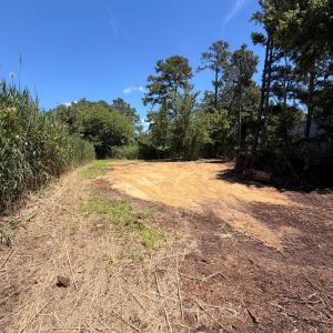 Photo #4 of LOT 283 NORTH HIBISCUS DR, CHINCOTEAGUE, VA 12.0 acres