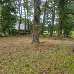 Photo #6 of LOT 283 NORTH HIBISCUS DR, CHINCOTEAGUE, VA 12.0 acres