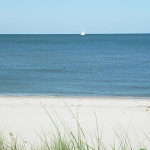 Photo #18 of Lot 15D SAND HILL DR, CAPE CHARLES, VA 1.2 acres