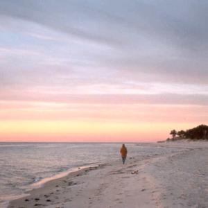 Photo #20 of Lot 15D SAND HILL DR, CAPE CHARLES, VA 1.2 acres