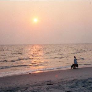 Photo #21 of Lot 15D SAND HILL DR, CAPE CHARLES, VA 1.2 acres