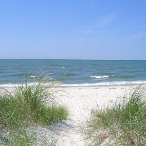 Photo #4 of Lot 15D SAND HILL DR, CAPE CHARLES, VA 1.2 acres