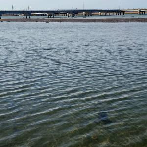 Photo #2 of Lot #5 MARSH ISLAND DR, CHINCOTEAGUE, VA 0.1 acres