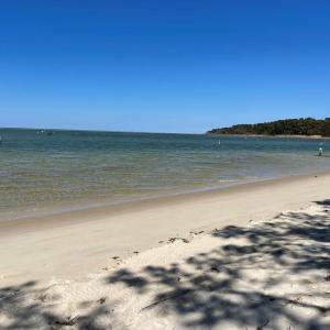 Photo #3 of 102 BLUE HEAVEN RD, CAPE CHARLES, VA 8,599.0 acres