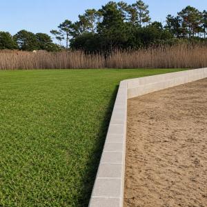 Photo #4 of 3110 MAIN ST, CHINCOTEAGUE, VA 1.1 acres