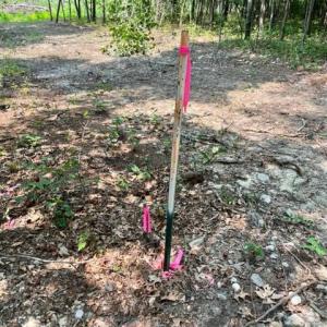 Photo #9 of 2016 VAUGHN SUMMIT RD, LURAY, VA 7.7 acres