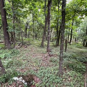 Photo #20 of TROXEL GAP RD, MIDDLEBROOK, VA 135.5 acres