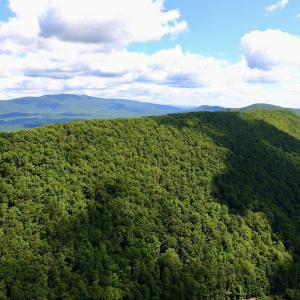 Photo #24 of TROXEL GAP RD, MIDDLEBROOK, VA 135.5 acres