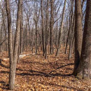 Photo #12 of TROXEL GAP RD, MIDDLEBROOK, VA 135.5 acres