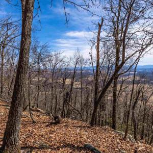 Photo #14 of TROXEL GAP RD, MIDDLEBROOK, VA 135.5 acres