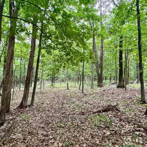 Photo #19 of TROXEL GAP RD, MIDDLEBROOK, VA 135.5 acres
