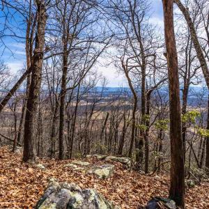 Photo #11 of TROXEL GAP RD, MIDDLEBROOK, VA 135.5 acres