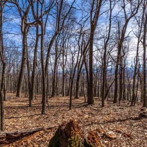 Photo #7 of TROXEL GAP RD, MIDDLEBROOK, VA 135.5 acres