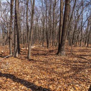 Photo #26 of TROXEL GAP RD, MIDDLEBROOK, VA 135.5 acres