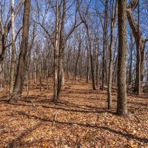 Photo #10 of TROXEL GAP RD, MIDDLEBROOK, VA 135.5 acres