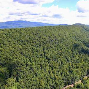 Photo #25 of TROXEL GAP RD, MIDDLEBROOK, VA 135.5 acres