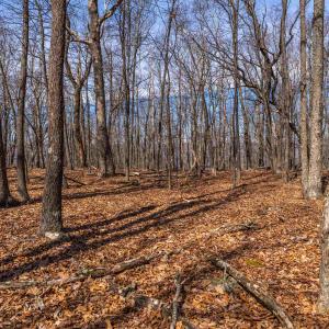 Photo #13 of TROXEL GAP RD, MIDDLEBROOK, VA 135.5 acres