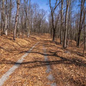 Photo #4 of TROXEL GAP RD, MIDDLEBROOK, VA 135.5 acres