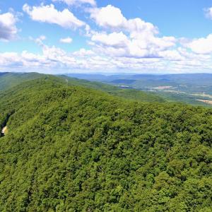 This Property Abuts The Goshen and Little North Mountain Wildlife Management Area
