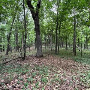 Photo #21 of TROXEL GAP RD, MIDDLEBROOK, VA 135.5 acres