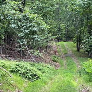 Photo #17 of TROXEL GAP RD, MIDDLEBROOK, VA 135.5 acres