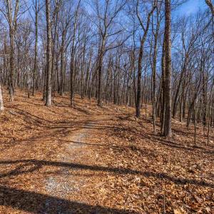Photo #5 of TROXEL GAP RD, MIDDLEBROOK, VA 135.5 acres