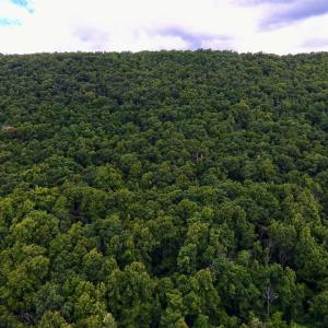 Photo #22 of TROXEL GAP RD, MIDDLEBROOK, VA 135.5 acres