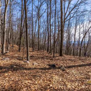 Photo #8 of TROXEL GAP RD, MIDDLEBROOK, VA 135.5 acres