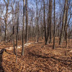 Photo #27 of TROXEL GAP RD, MIDDLEBROOK, VA 135.5 acres