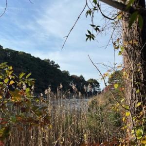 Photo #12 of Lot 8 HARBOUR LN, CAPE CHARLES, VA 2.1 acres