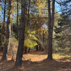 Photo #14 of Lot 8 HARBOUR LN, CAPE CHARLES, VA 2.1 acres