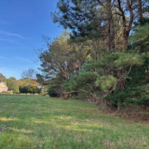 Photo #15 of Lot 8 HARBOUR LN, CAPE CHARLES, VA 2.1 acres