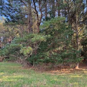 Photo #16 of Lot 8 HARBOUR LN, CAPE CHARLES, VA 2.1 acres