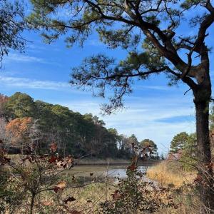Photo #2 of Lot 8 HARBOUR LN, CAPE CHARLES, VA 2.1 acres
