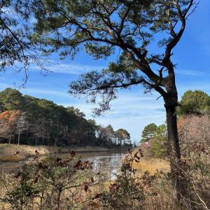 Photo #22 of Lot 8 HARBOUR LN, CAPE CHARLES, VA 2.1 acres