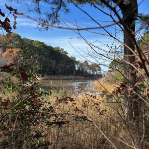 Photo #23 of Lot 8 HARBOUR LN, CAPE CHARLES, VA 2.1 acres