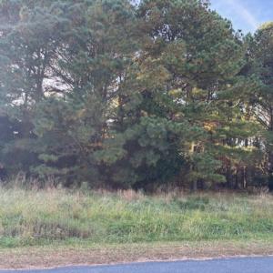 Photo #10 of Lot 8 HARBOUR LN, CAPE CHARLES, VA 2.1 acres