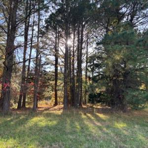 Photo #17 of Lot 8 HARBOUR LN, CAPE CHARLES, VA 2.1 acres